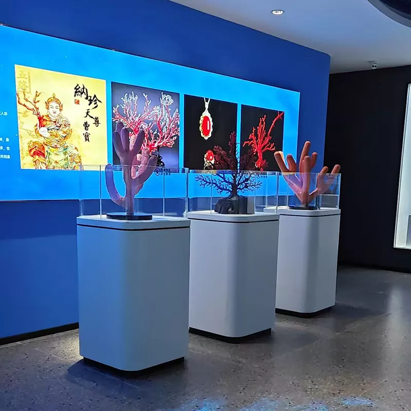 लकड़ी की प्रदर्शन मेज